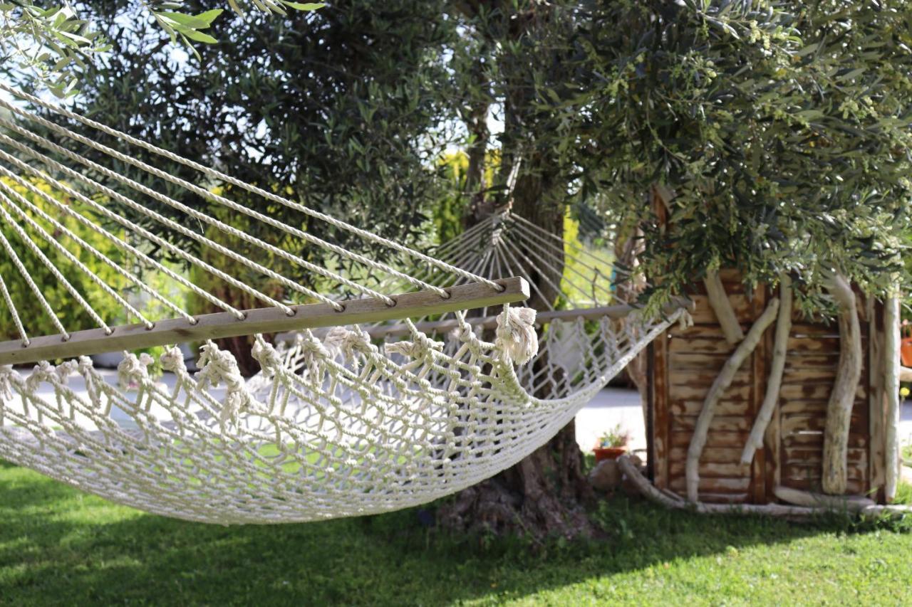 Vabel Skiathos المظهر الخارجي الصورة